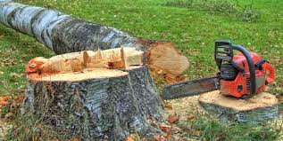 Best Tree Removal  in Del Rio, CA