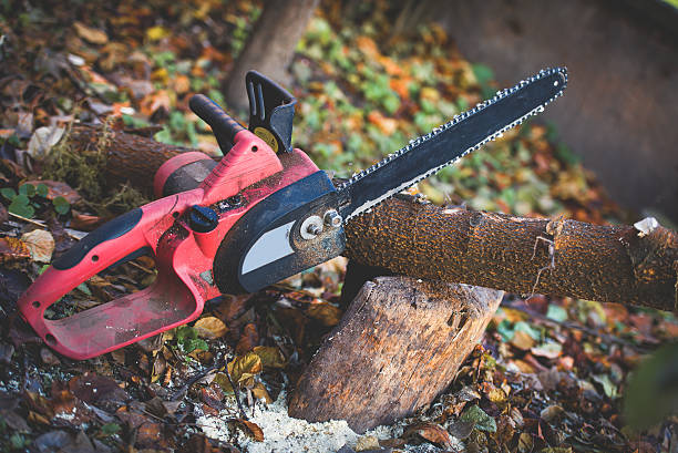 Best Aeration Services  in Del Rio, CA